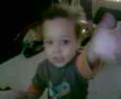 alassane
